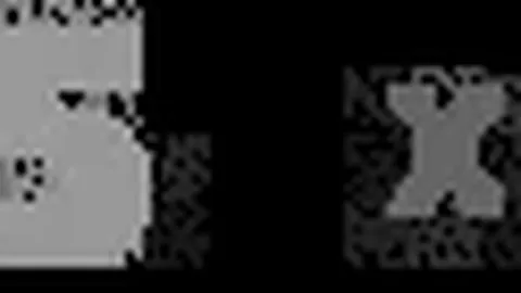 米乐YY易游体育